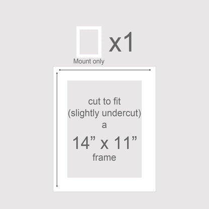 Photo mats mounts to fit 14x11 inch picture frames.