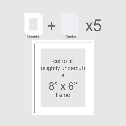 Standard size picture mounts with backing boards to fit 8x6 inch frames.