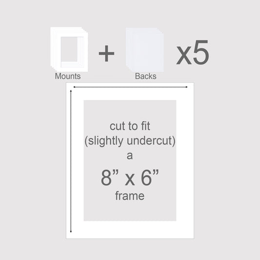 Standard size picture mounts with backing boards to fit 8x6 inch frames.