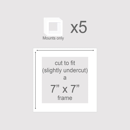 Pack of 5 photomats to fit 7x7 inch frames