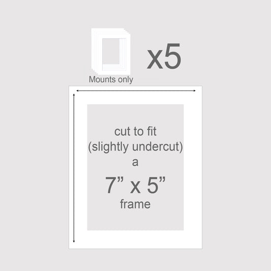 Pack of 5 standard size 7x5 inch picture photo mounts.