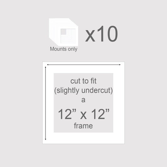 Pack of 10 12x12 inch picture frame inserts. Photo mounts, picture mounts.