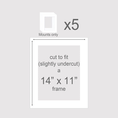 Pack of 5 photo mounts to it 14x11 inch picture frames. Picture frame inserts.