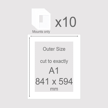 Conservation grade, acid-free, pH neutral, white-core, picture window photo mounts. Exact outer size A1 841 x 594mm.