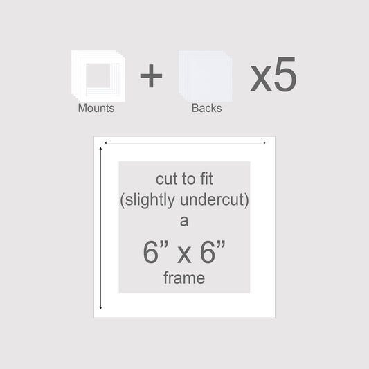 Phot mounts with backing boards. Pack of 5 to fit 6x6 inch frames. 150mm x 150mm square.