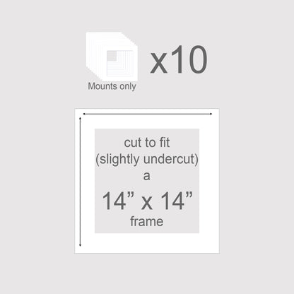 Pack of 10 photo mounts to fit 14x14 picture frames