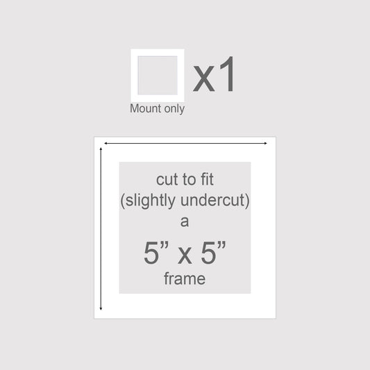 Photo mount to fit a 5x5 inch picture frame.