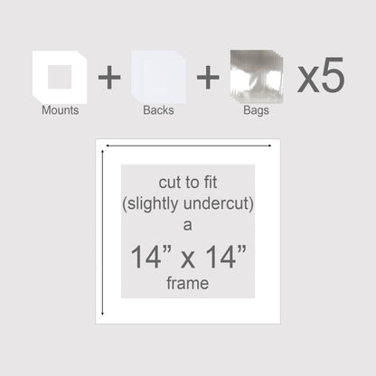 14x14 inch mounts kit. Pack of 5 mounts, backing boards, and cellophane envelopes.