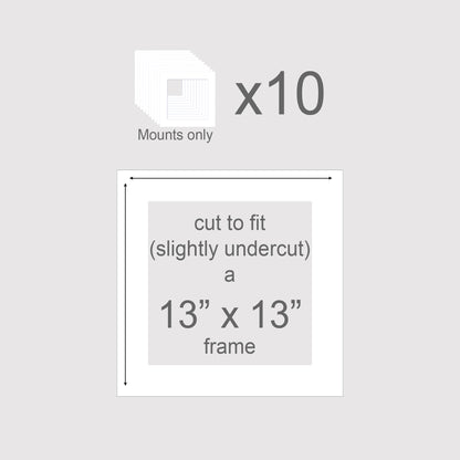 Pack of 10 frame inserts, cut to fit 13x13 inch picture frames.