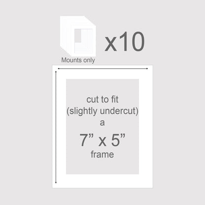 Pack of 10 standard size picture mounts to fit 7x5inch frames.