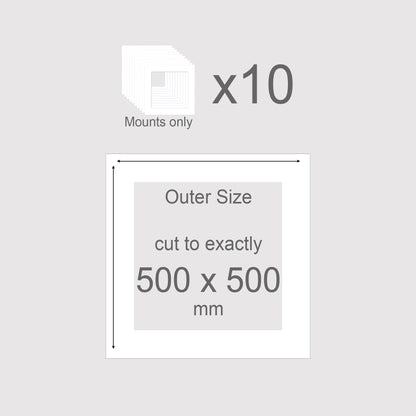 500 x 500 mm, Mounts only, Pack of 10