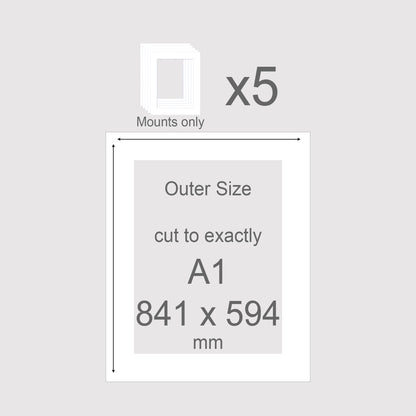 Conservation grade, acid-free, pH neutral, white-core, picture window photo mounts. Exact outer size A1 841 x 594mm.