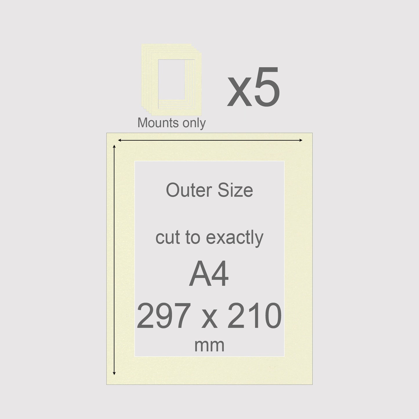 A4, 297 x 210 mm, Mounts only, Pack of 5