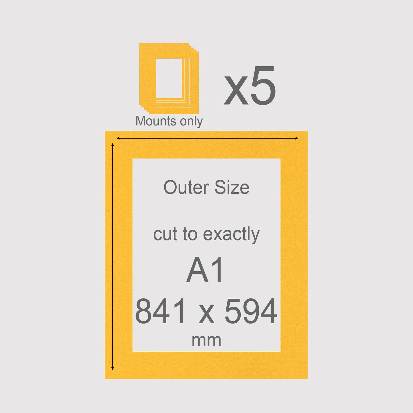 A1, 841 x 594 mm, Mounts only, Pack of 5