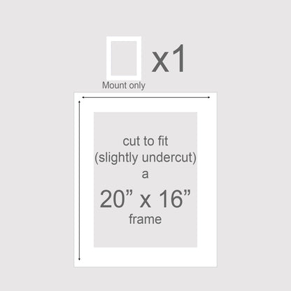 Pack of 1 (single) mount, 20 x 16, Photo White