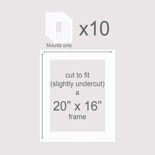 Pack of 10 20 x 16 inch mounts